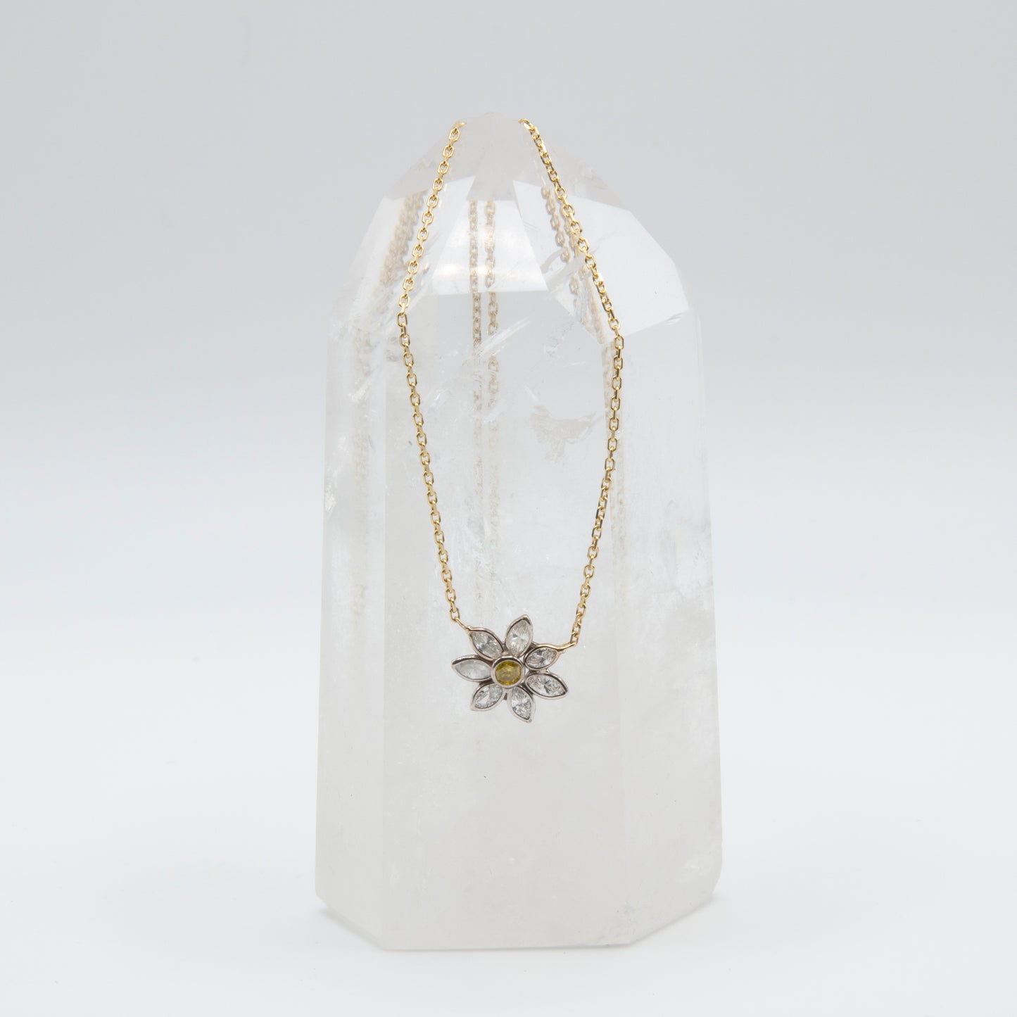 Wild One Necklace